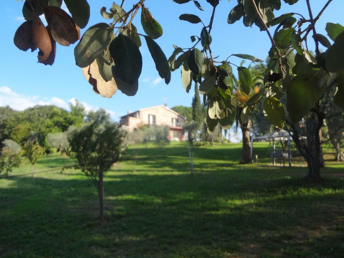 Tenuta De Fanti Agriturismo Bibbona Exterior foto